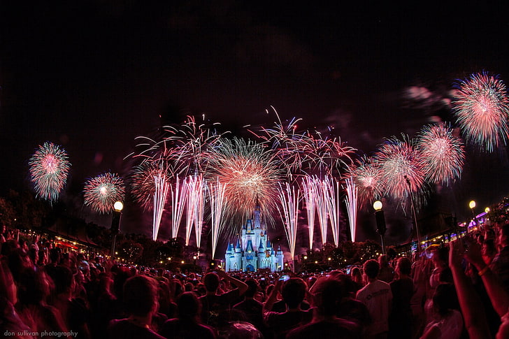 fireworks, Disney, fireworks, people, night, HD wallpaper