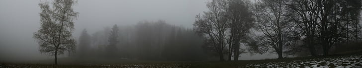 arbres, brume, mist, monitor, multi, multiple, layar, pohon, rangkap tiga, Wallpaper HD
