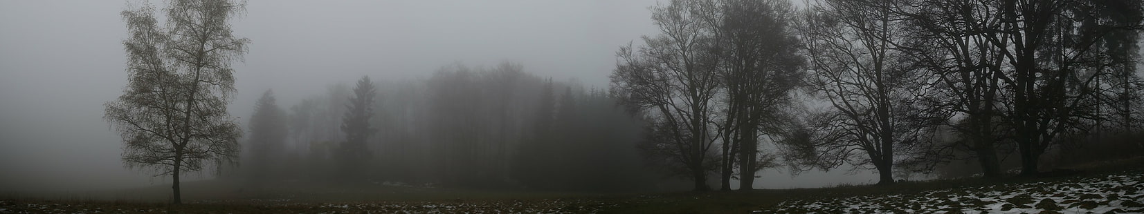 arbres, brume, mgła, monitor, wiele, wiele, ekran, drzewa, potrójne, Tapety HD HD wallpaper