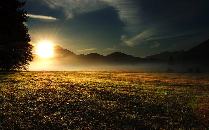 green leafed plants, landscape, morning, grass, field, nature, mist, sunset, mountains, trees, HD wallpaper