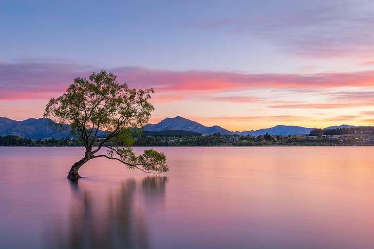 paisagem, montanhas, natureza, lago, árvore, amanhecer, costa, manhã, Nova Zelândia, Lago Wanaka, Wanaka, HD papel de parede