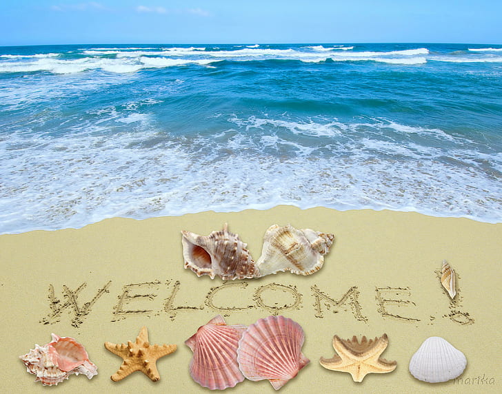 Bienvenue été !, coquillages, plage, étoiles de mer, bienvenue, soleil, été, sable, Fond d'écran HD