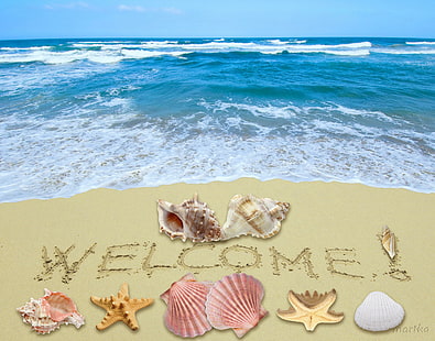 ようこそ夏！、貝殻、ビーチ、ヒトデ、ようこそ、太陽、夏、砂、 HDデスクトップの壁紙 HD wallpaper