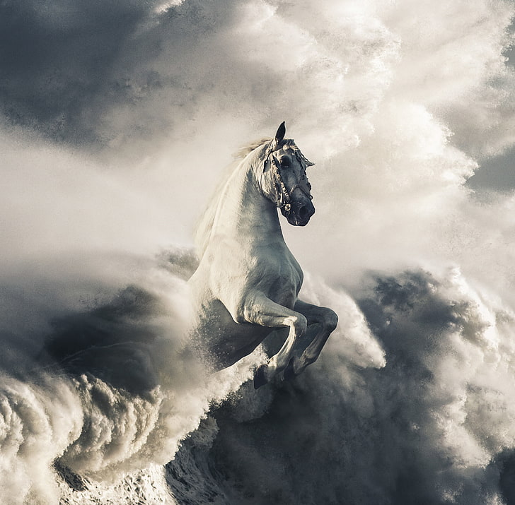 Waves, Clouds, Pegasus, White horse, HD wallpaper