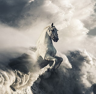 Ondas, nuvens, pegasus, cavalo branco, HD papel de parede HD wallpaper
