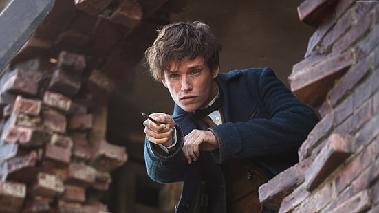 Best Movies, Fantastic Beasts And Where To Find Them, Eddie Redmayne, HD wallpaper HD wallpaper