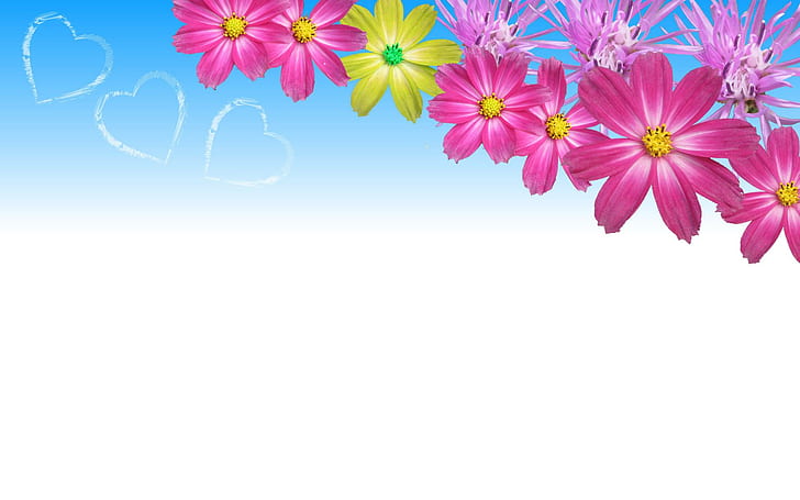 플라워 파워, 핑크 꽃잎 꽃 일러스트, 하트, 핑크 꽃, 사랑, 3D 및 초록, HD 배경 화면