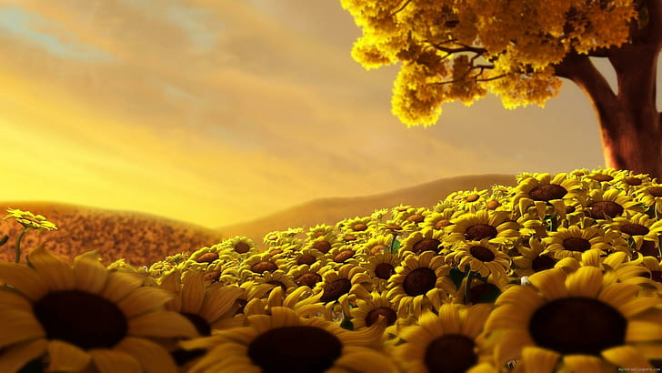 Поле подсолнечника, желтые поля подсолнечника, подсолнух, цветок, желтый, поле, пейзаж, HD обои