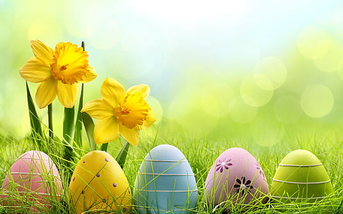 Uova di Pasqua sveglie, uova di Pasqua, 2014 uova di Pasqua, pasqua 2014, 2014 pasqua, Sfondo HD HD wallpaper