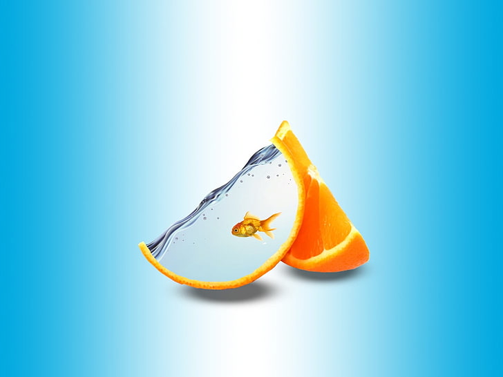 orange fruit goldfish abstract digital artwork, fish, orange, orange (fruit), digital art, HD wallpaper