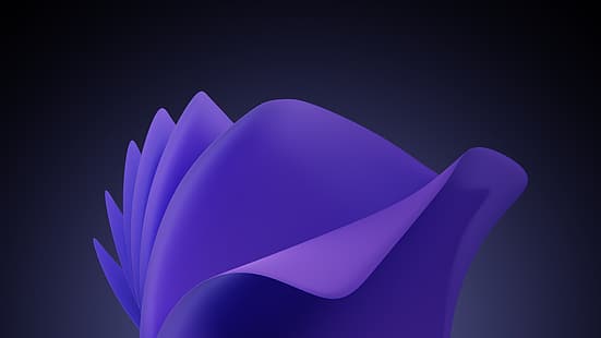 абстракция, цифровое искусство, минимализм, Windows 11, темный фон, фиалка (цвет), HD обои HD wallpaper