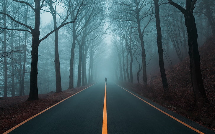 човек, стоящ на пътека, път, пейзаж, гора, дървета, фотограф, мъгла, HD тапет