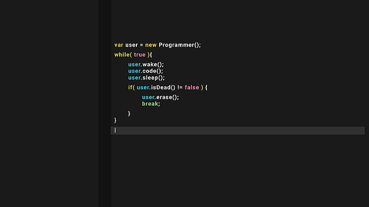 coder, developer, programmer, programming, HD wallpaper