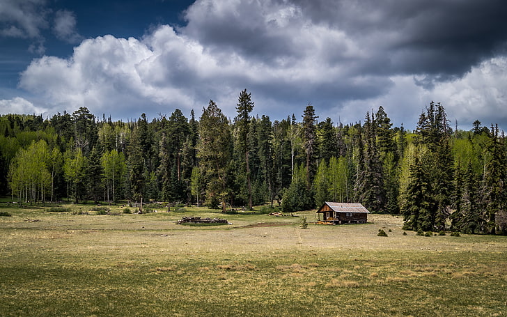 Solace, arizona, cabins, fields, forests, green, grey, landscape, nature, photography, HD wallpaper