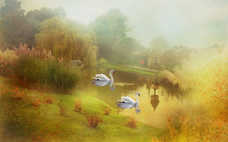 arte de dois cisnes brancos, lago, cisnes, estilo, HD papel de parede