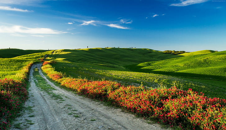 Italy, sky, Meadows, 4k, road, wildflowers, Tuscany, HD wallpaper
