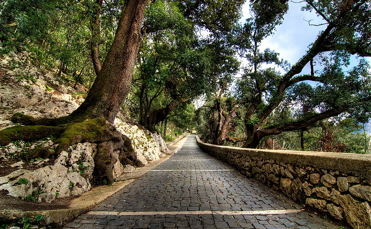 Cobblestone Path, green trees, Europe, Italy, Nature, Summer, Trees, Road, Path, cobblestone, Subiaco, HD wallpaper