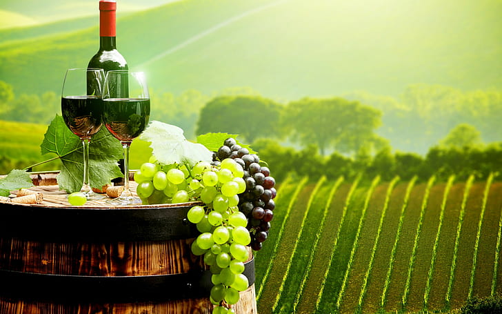 Vasos, botella, vino, paisaje, vasos, campos, uvas, botella, vino, plantaciones, barril, corchos, Fondo de pantalla HD