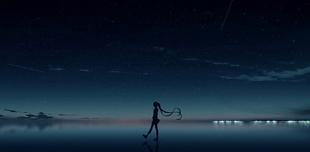 hatsune miku, silhouette, stars, walking, reflection, vocaloid, Anime, HD wallpaper HD wallpaper