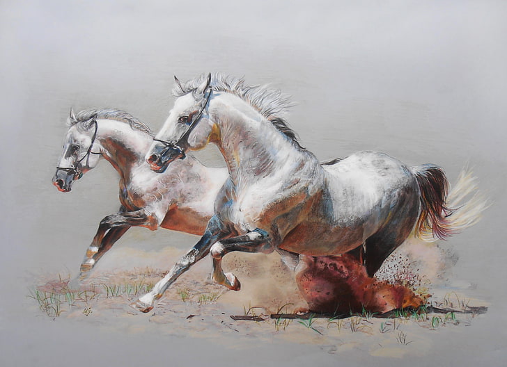 two running white horses painting, figure, horses, dust, horse, running, pair, HD wallpaper