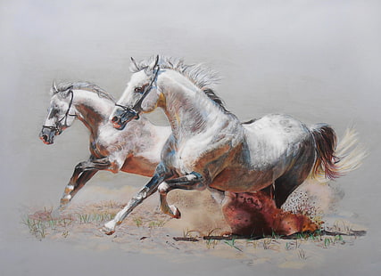 dua kuda putih berlari melukis, sosok, kuda, debu, kuda, lari, berpasangan, Wallpaper HD HD wallpaper