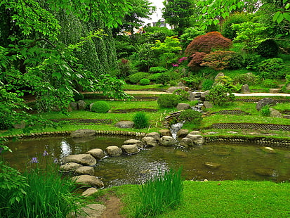 緑の葉の植物、緑、草、木、池、石、フランス、庭、茂み、枝、葉、アルバートカーン日本庭園、 HDデスクトップの壁紙 HD wallpaper