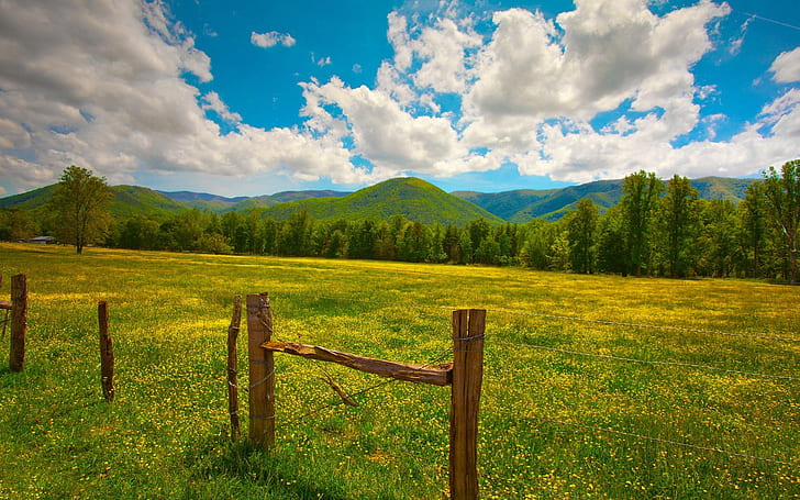 Summer landscape, grass, yellow flowers, fence, hills, clouds, Summer, Landscape, Grass, Yellow, Flowers, Fence, Hills, Clouds, HD wallpaper