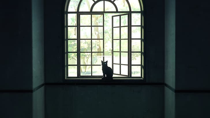 Jujutsu Kaisen, kucing, jendela, sinar matahari, pohon, alam, anime, tangkapan layar Anime, mata bersinar, Wallpaper HD