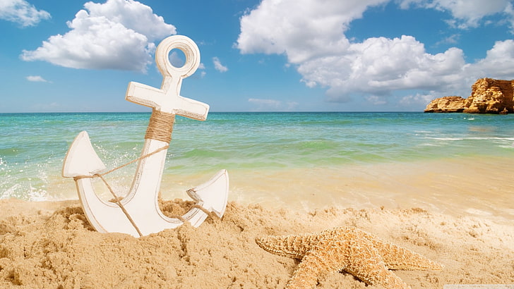 white anchor and brown starfish, landscape, sea, beach, HD wallpaper