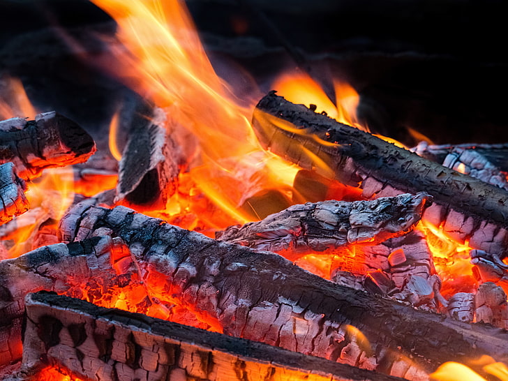 burning wood, fire, flame, the fire, logs, ash, HD wallpaper