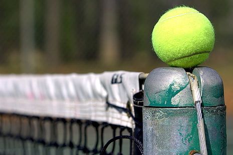 зеленая бейсбольная игрушка, спорт, теннис, теннисные мячи, мячи, HD обои HD wallpaper