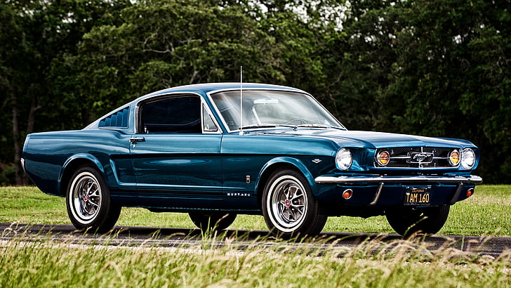 Ford Mustang bleu coupé, Mustang, Ford, 1965, Fastback, Fond d'écran HD