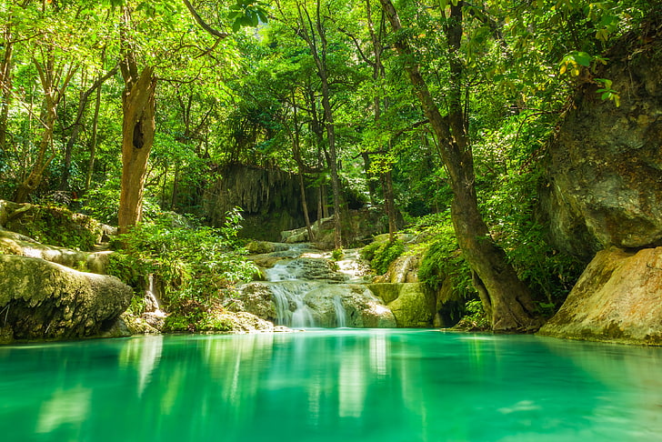 green trees, greens, forest, summer, trees, lake, tropics, stream, stones, waterfall, jungle, HD wallpaper