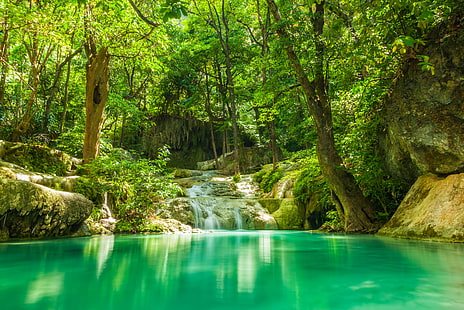 зеленые деревья, зелень, лес, лето, деревья, озеро, тропики, ручей, камни, водопад, джунгли, HD обои HD wallpaper