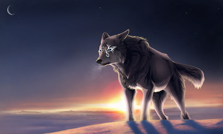wolf, tundra, Moon, HD wallpaper