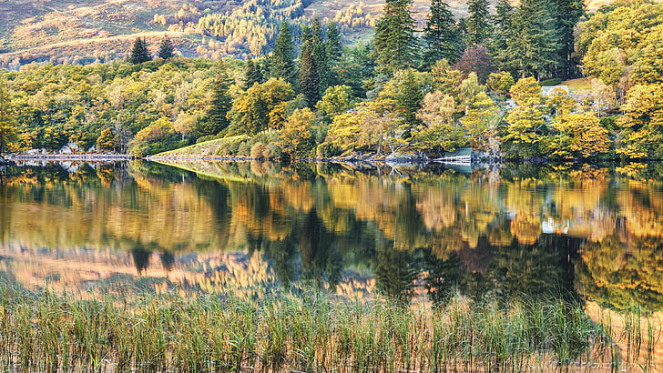 refleksi, hutan belantara, musim gugur, danau, lanskap, lanskap alam, lanskap musim gugur, 8r uhd, warna musim gugur, tercermin, Wallpaper HD