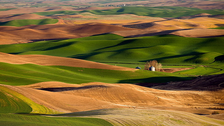 landscape, nature, hills, field, grass, silo, trees, sunrise, Palouse, Washington, USA, HD wallpaper