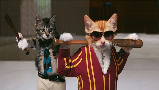 The Professionals, 2 gangster cat, skyphoenixx1, fantástico, agradável, bonito, animais, incrível, doce, óculos de sol, bonito, gatos, HD papel de parede HD wallpaper