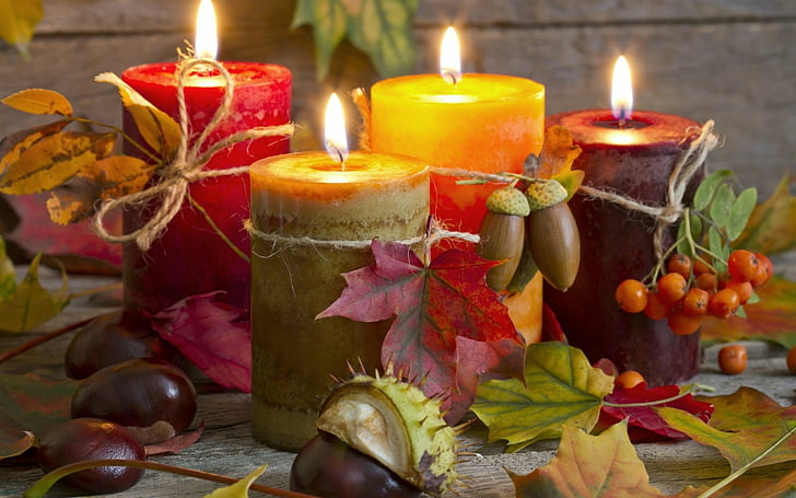 Photography, Candle, Acorn, Chestnut, Colorful, Colors, Fall, Leaf, Still Life, HD wallpaper