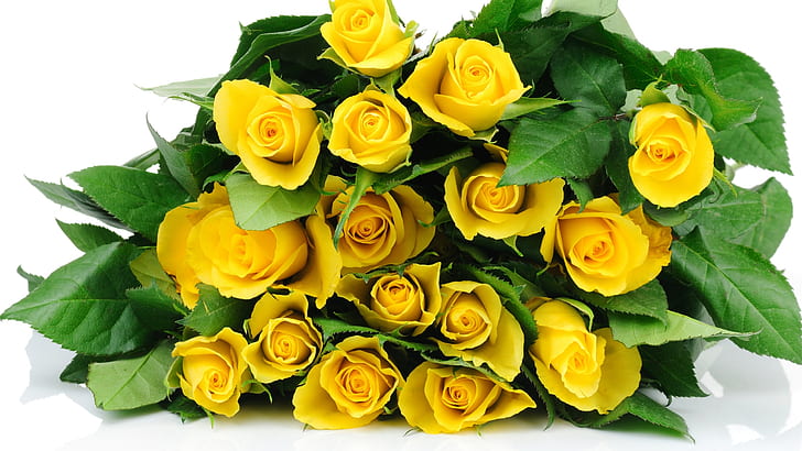 꽃다발 꽃, 노란 장미, 꽃다발, 꽃, 노란색, 장미, HD 배경 화면