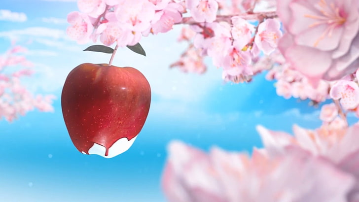 แจกันเซรามิกสีแดงและสีขาวนามธรรมแอปเปิ้ลภาพวาดดอกไม้, วอลล์เปเปอร์ HD