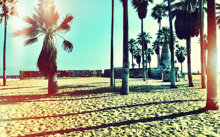 beach, palm trees, graffiti, sand, HD wallpaper