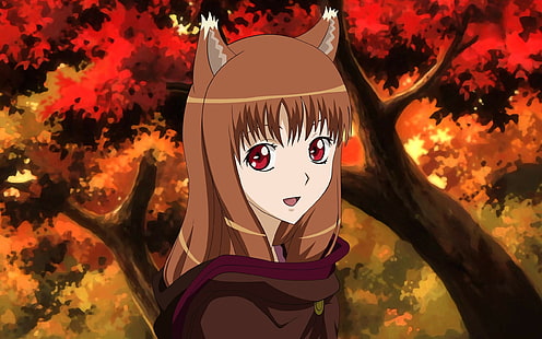 gadis anime, anime, Spice and Wolf, Holo, gadis serigala, Okamimimi, Wallpaper HD HD wallpaper