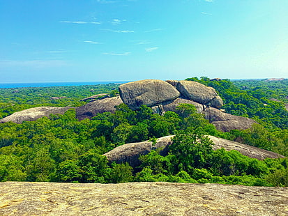 Шри Ланка, природа, скала, дървета, фотография, гора, HD тапет HD wallpaper