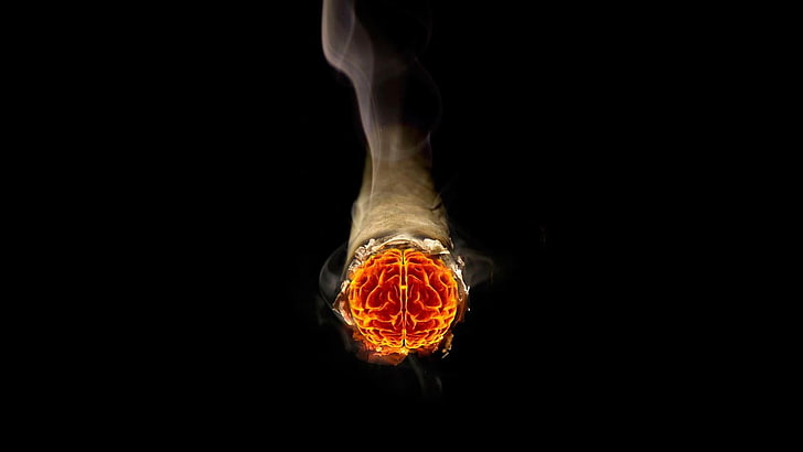 червена илюстрация на човешки мозък, цигари, мозък, HD тапет