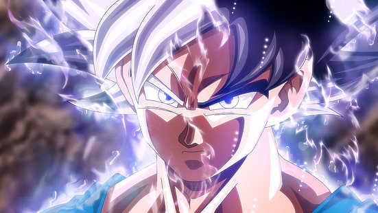 Ultra Instinct Goku, 4K, Dragon Ball Super, Fondo de pantalla HD HD wallpaper