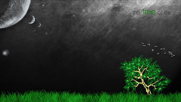 tall tree and moon digital wallpaper, trees, life, HD wallpaper