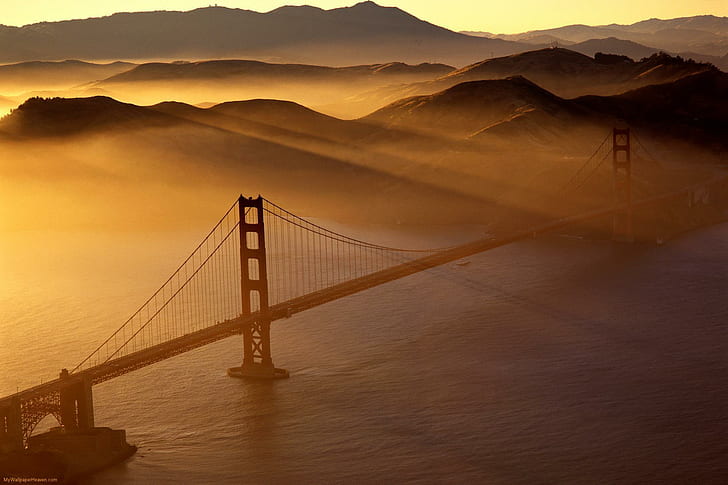 The Sun Sets Over The Golden Gate, san francisco bridge photo, mist, golden gate bridge, san francisco, sunset, animals, HD wallpaper