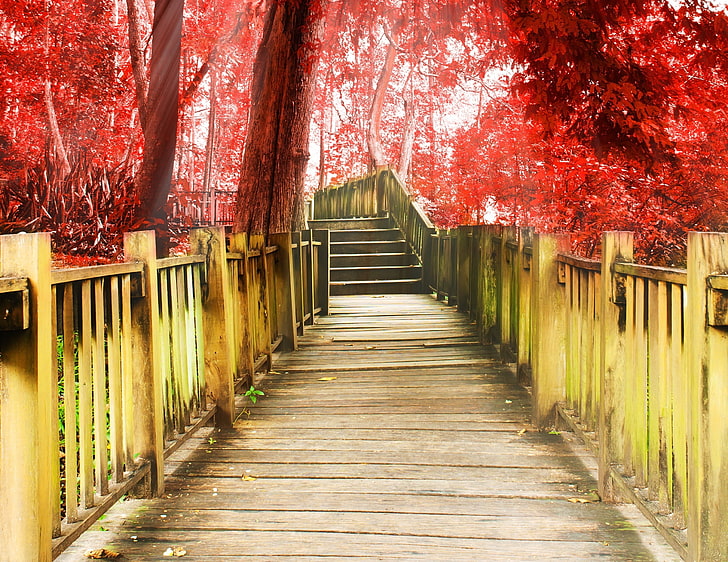 jembatan kayu coklat, pohon, merah, latar belakang, pohon, layar lebar, Wallpaper, tangga, trek, panggung, langkah, berbeda, layar penuh, wallpaper HD, layar penuh, Wallpaper HD