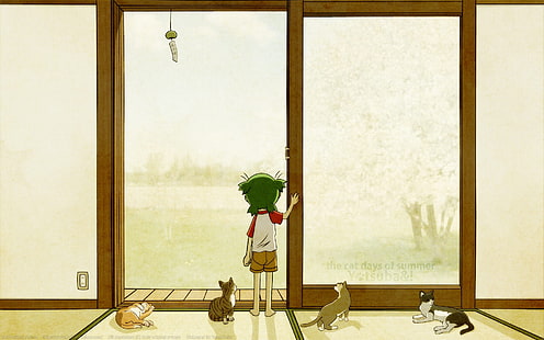 애니메이션, 요츠바 토, 고양이, HD 배경 화면 HD wallpaper